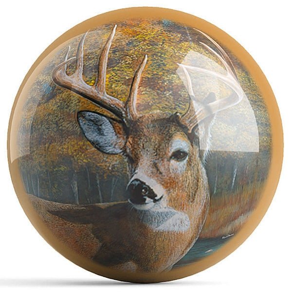 OnTheBallBowling Back Forty Bucks Bowling Ball By Kevin Daniel