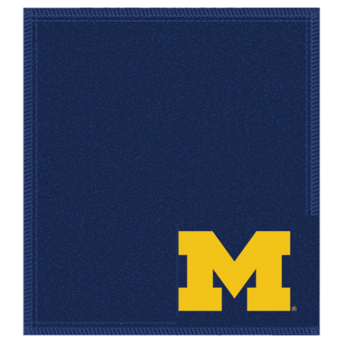 KR Strikeforce University of Michigan Ball Cleaning Leather Shammy