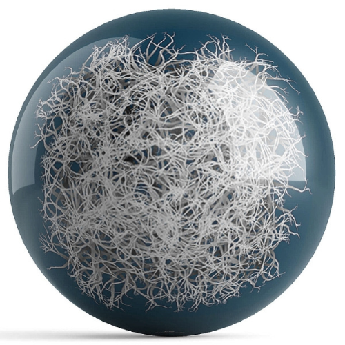 OnTheBallBowling Roots Bowling Ball by Stan Ragets