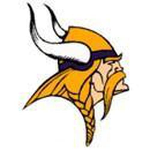 KR NFL Minnesota Vikings Towel-BowlersParadise.com