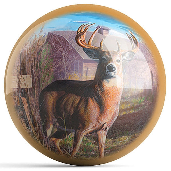 OnTheBallBowling Back Forty Bucks Bowling Ball By Kevin Daniel