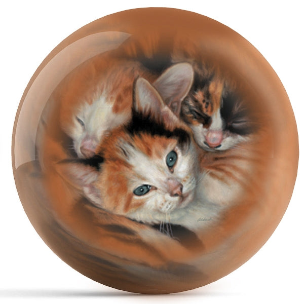 OnTheBallBowling Three Kittens Bowling Ball by Wild Wings