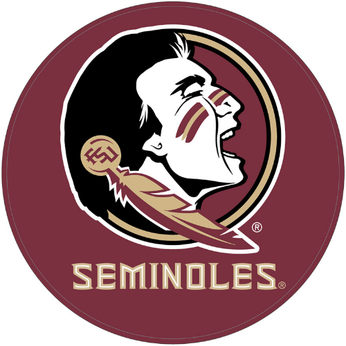 KR Strikeforce Florida State University Seminoles Round Bowling Ball Cleaning Shammy