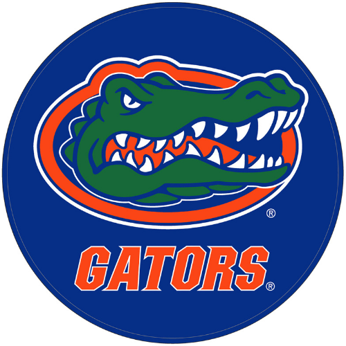 KR Strikeforce University of Florida Gators Round Bowling Ball Cleaning Shammy